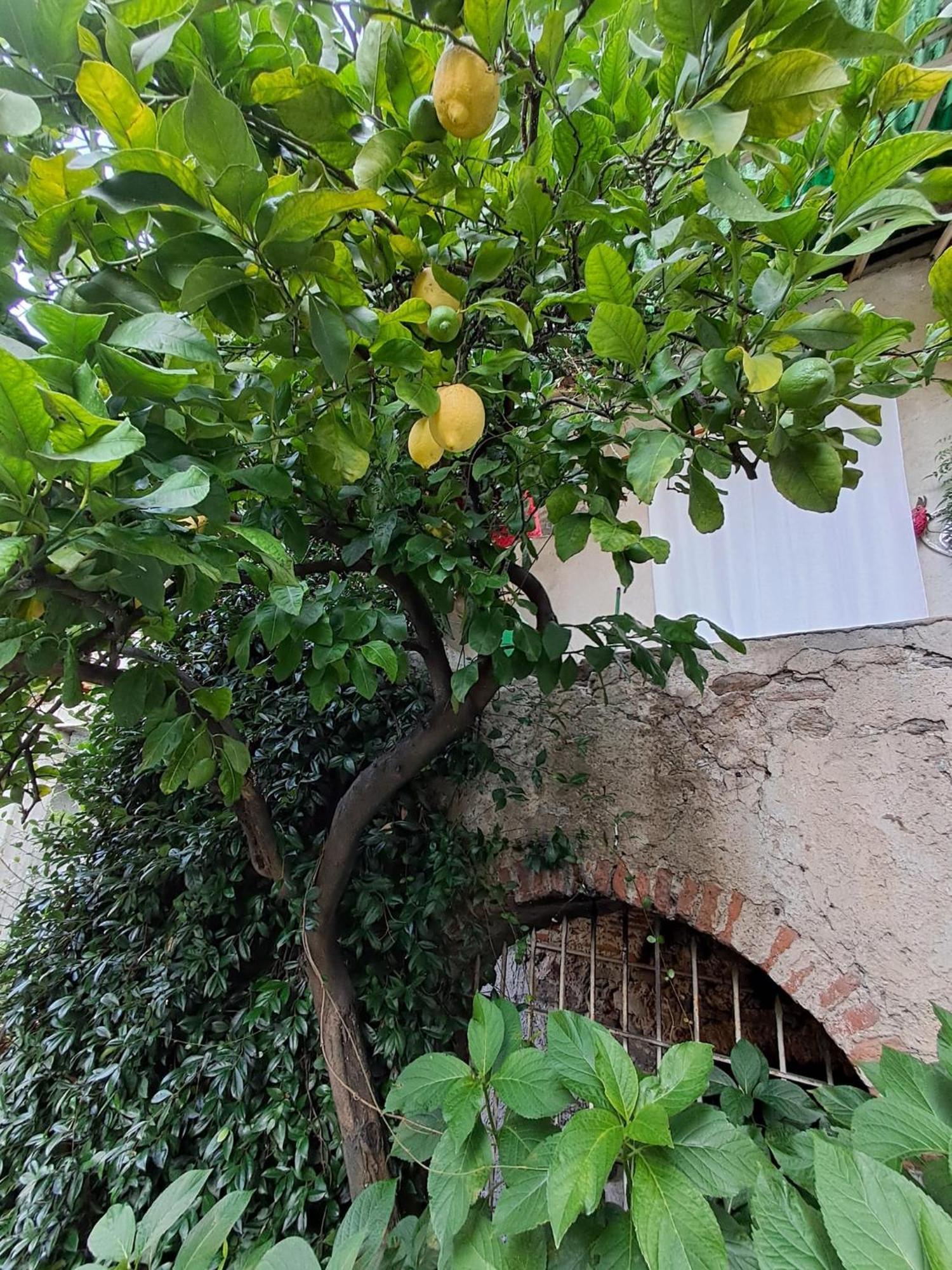 مبيت وإفطار Castelveccana Nonna Anita المظهر الخارجي الصورة