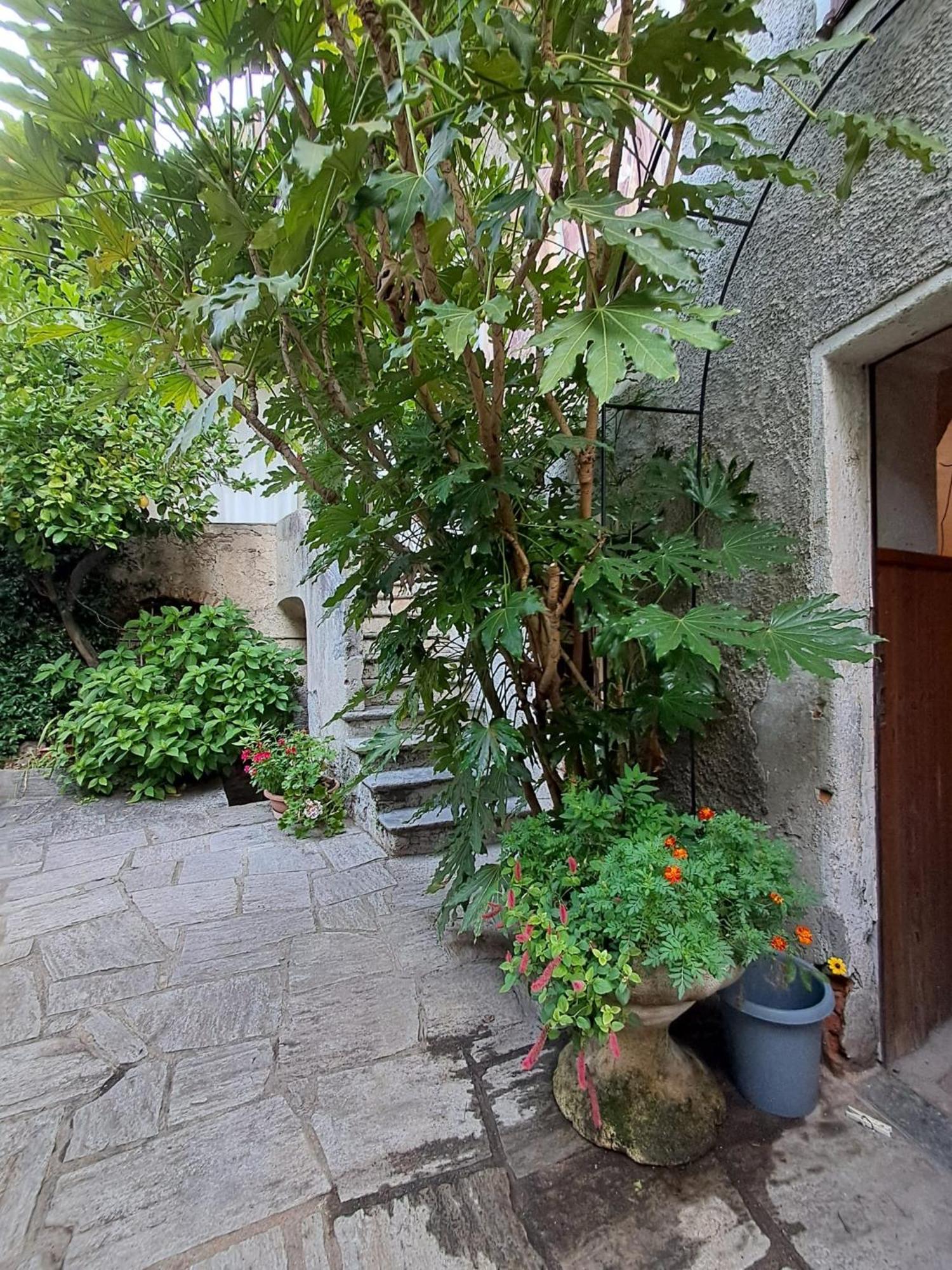 مبيت وإفطار Castelveccana Nonna Anita المظهر الخارجي الصورة