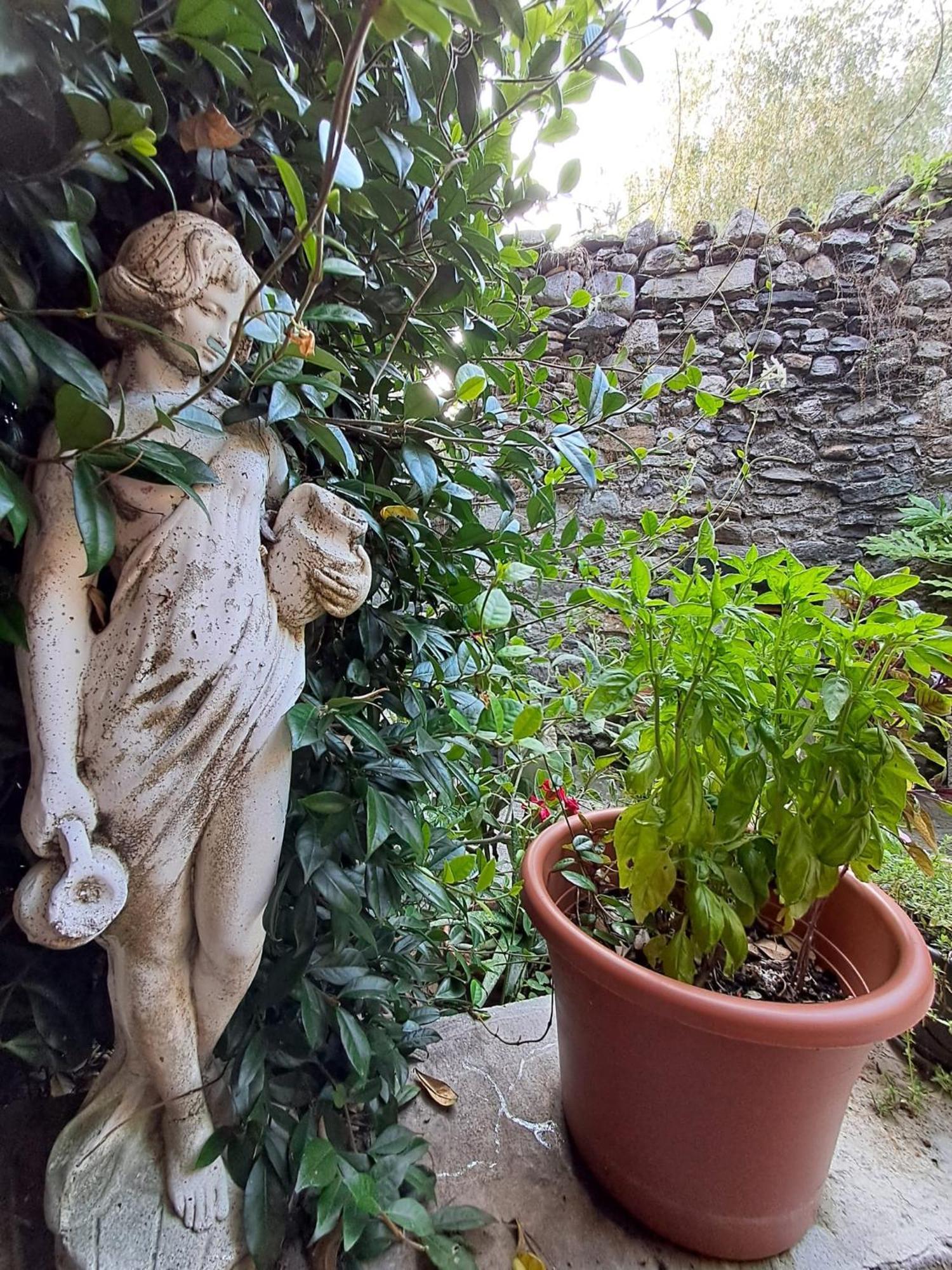 مبيت وإفطار Castelveccana Nonna Anita المظهر الخارجي الصورة