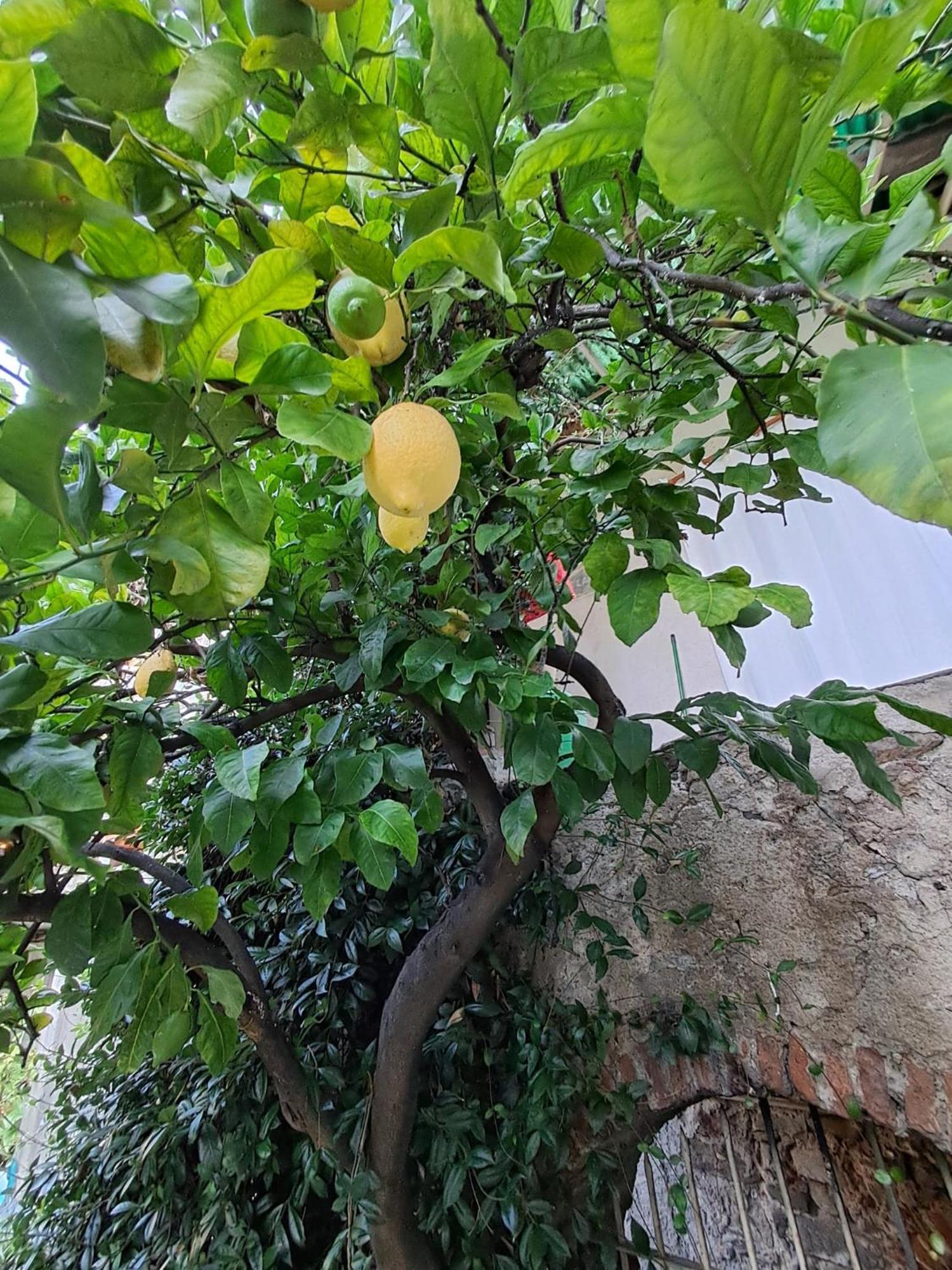 مبيت وإفطار Castelveccana Nonna Anita المظهر الخارجي الصورة